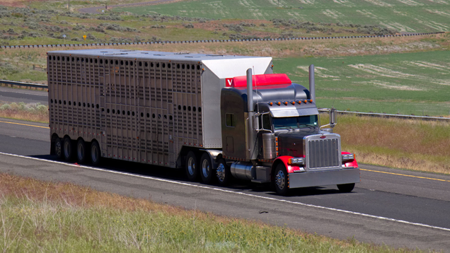 Illustration for article titled Boring List Of 7 Trucks We Only
Put Online Because It Wasn’t Too Much Work
